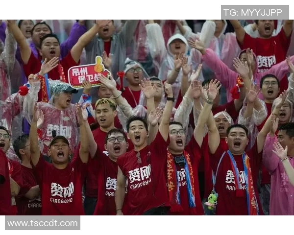 足球百大球星球迷的心声与情感共鸣：探索世界顶级球员背后的粉丝故事